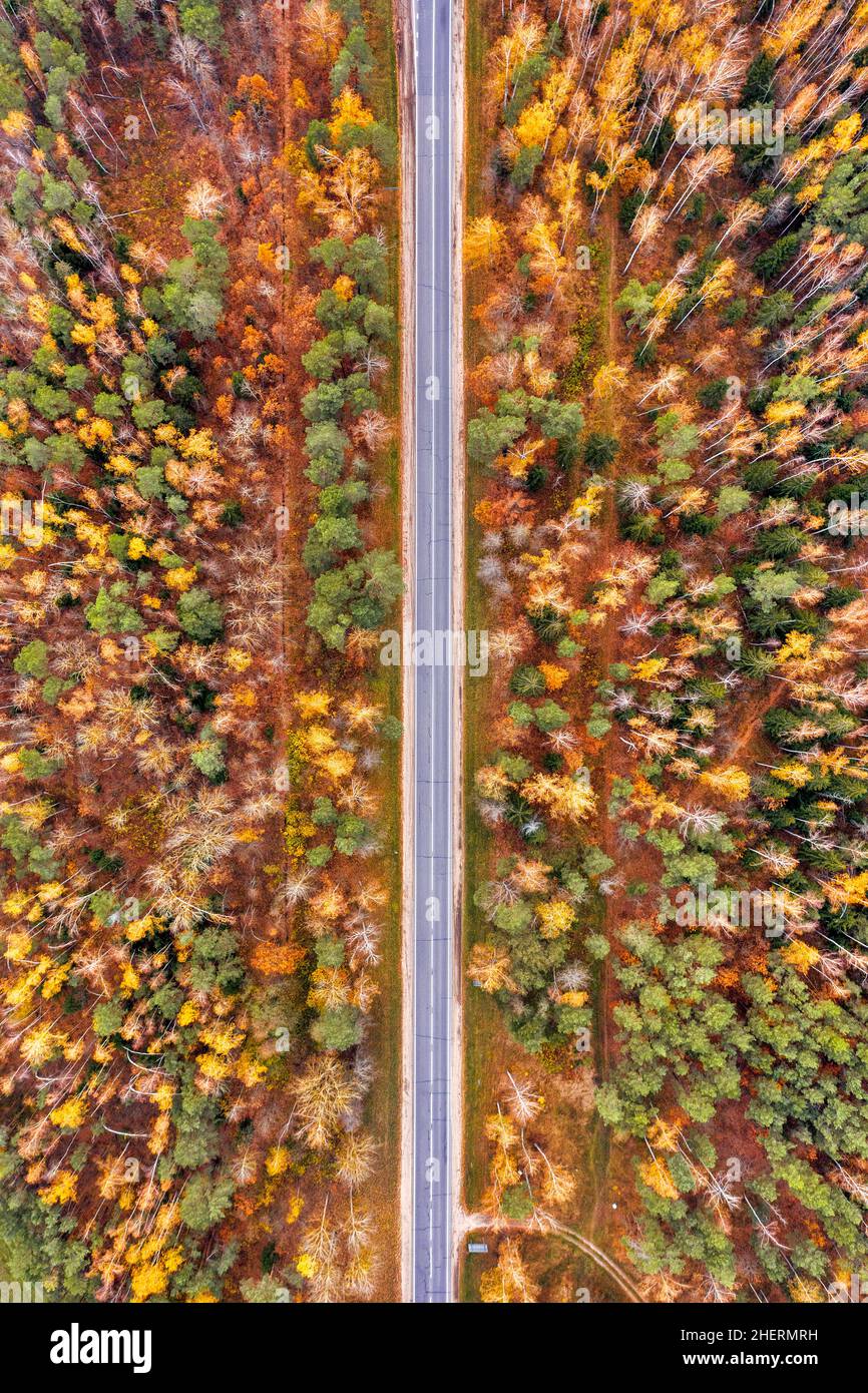 Vue aérienne sur une route rurale droite à travers la forêt d'automne Banque D'Images