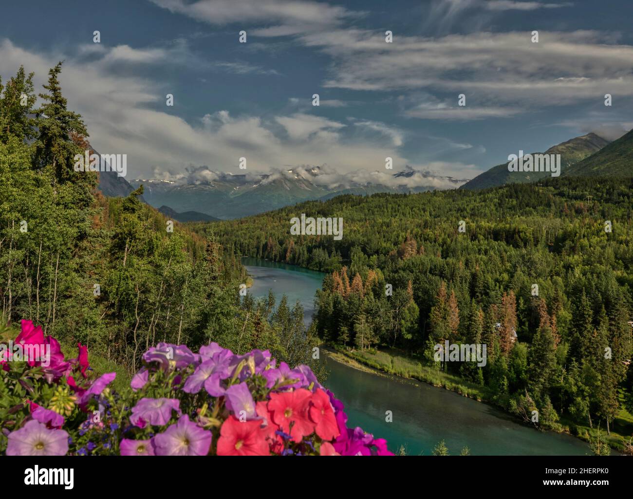 La rivière Kenai en Alaska Banque D'Images