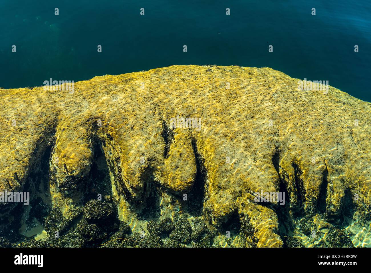 Roche surcultivée à Meersburg, district du lac de Constance, Bade-Wurtemberg, Allemagne, Allemagne Banque D'Images