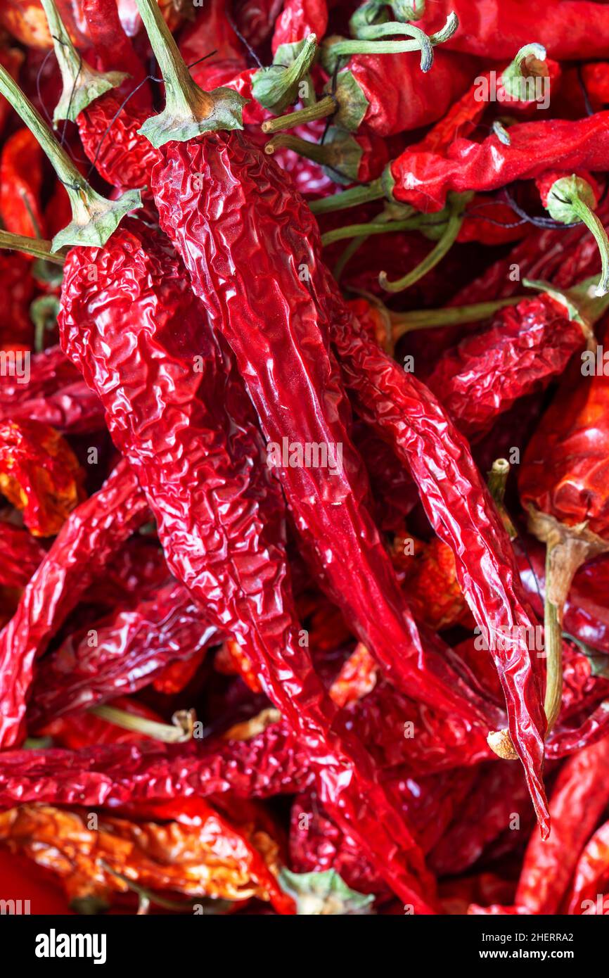 Gros plan sur les piments rouges chauds séchés Banque D'Images