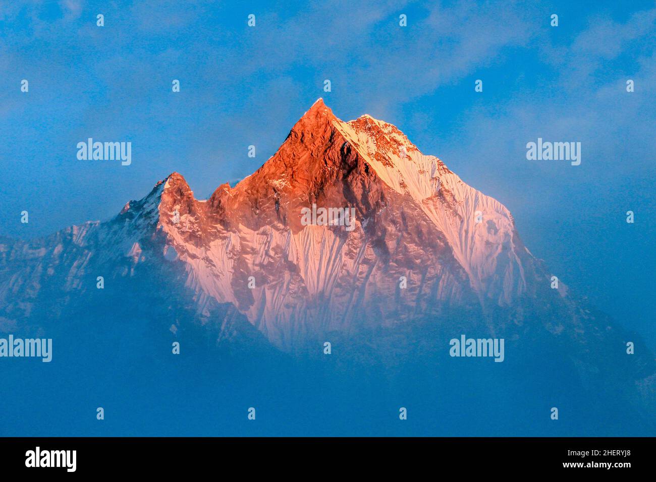 Ciel étoilé au-dessus du camp de base de Machhepuchare et Annapurna - Népal, Himalaya Banque D'Images