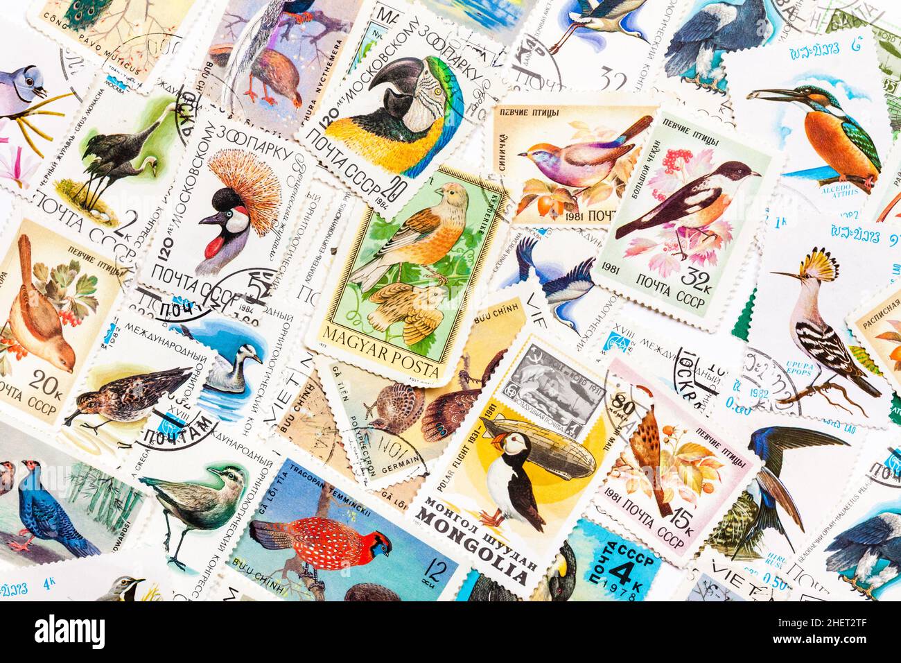 Timbres imprimés en URSS, unis par un thème - "oiseaux sauvages", arrière-plan arrangé Banque D'Images