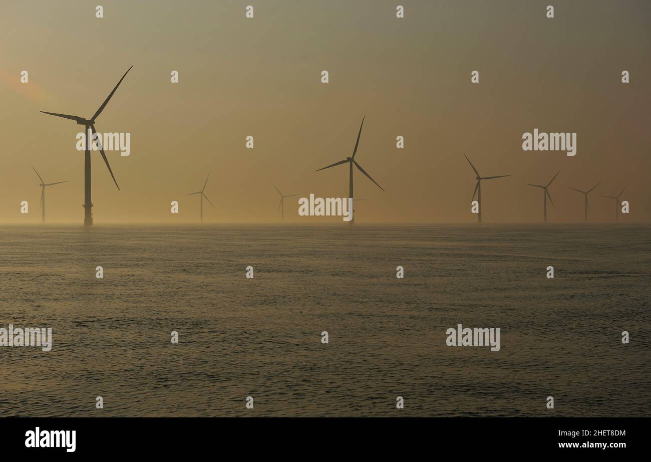 Photo de paysage montrant un champ d'éoliennes offshore dans la mer du Nord pendant le coucher du soleil d'été.Tout est question d'énergie verte Banque D'Images Photo de paysage montrant un champ d'éoliennes offshore dans la mer du Nord pendant le coucher du soleil d'été.Tout est question d'énergie verte Banque D'Images