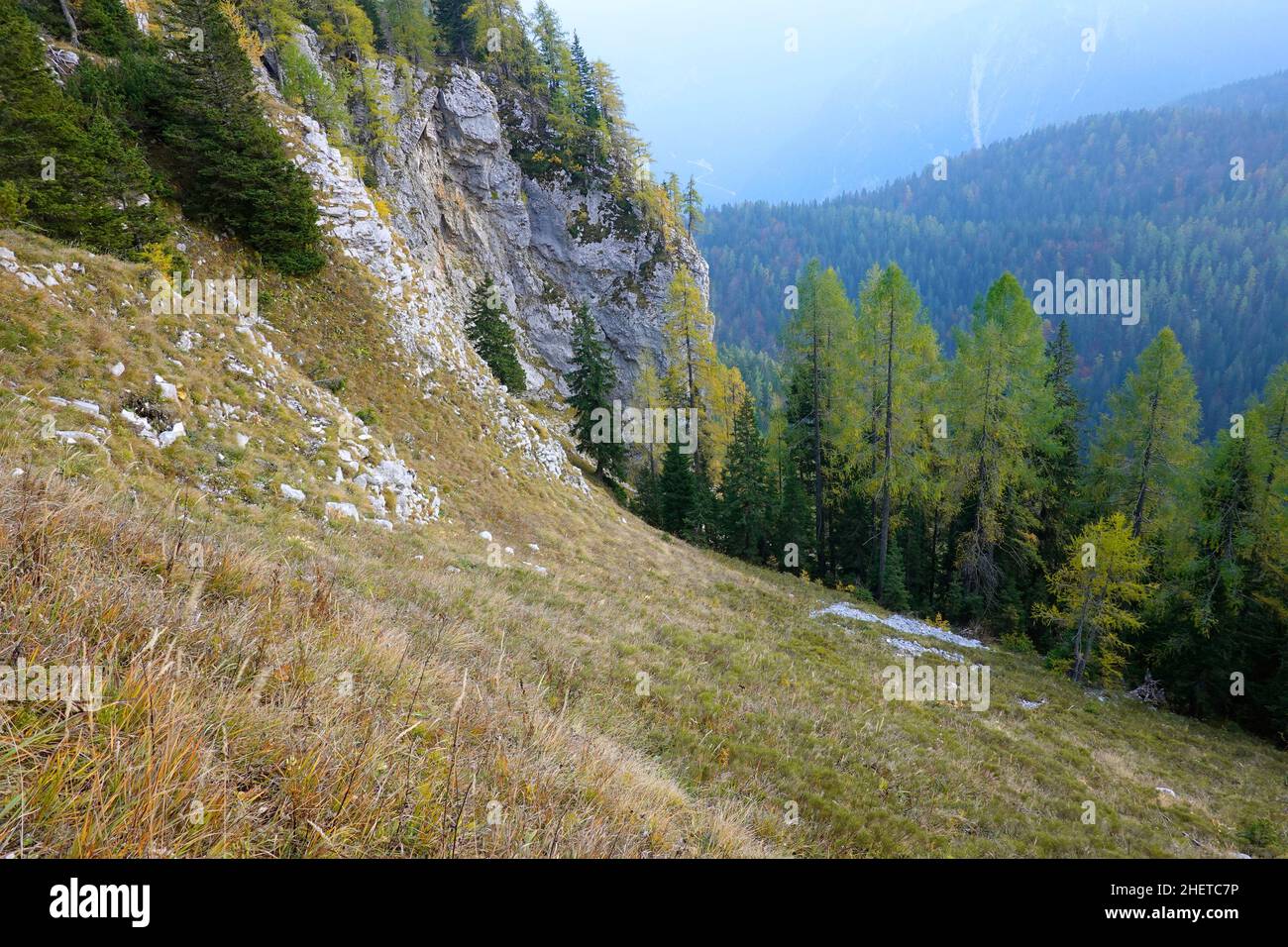 Couleurs d'automne dans le parc national de Triglav, Slovenja, Europe Banque D'Images