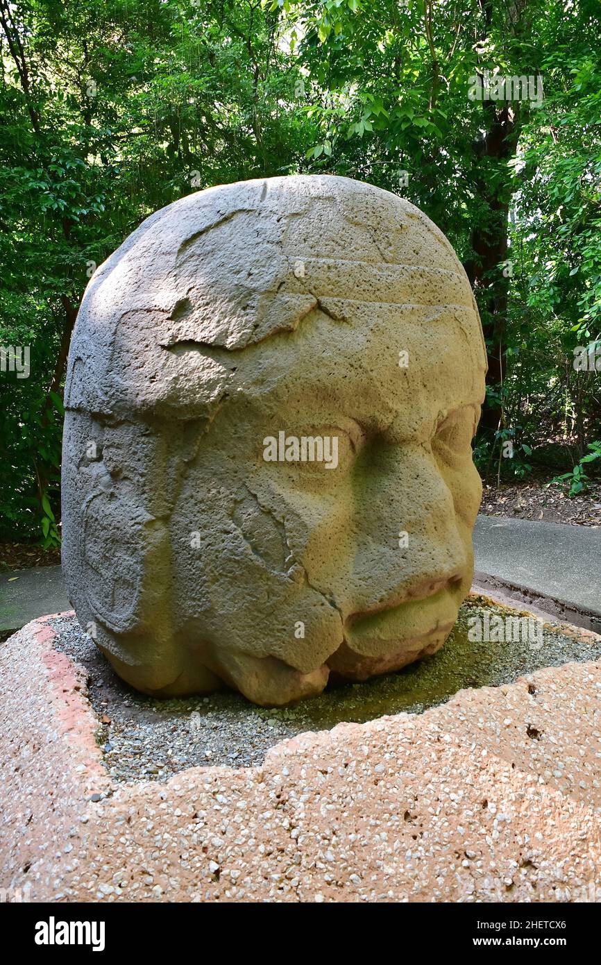 The Old Warrior, Olmec sculpture, la Venta Museum-Park, site archéologique précolombien, Villahermosa,État de Tabasco, Mexique, Amérique du Nord Banque D'Images