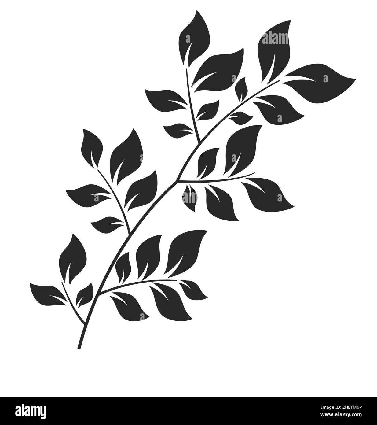 feuilles fraîches mince petit feuillage de branche noir et blanc vecteur de silhouette isolé sur fond blanc Illustration de Vecteur