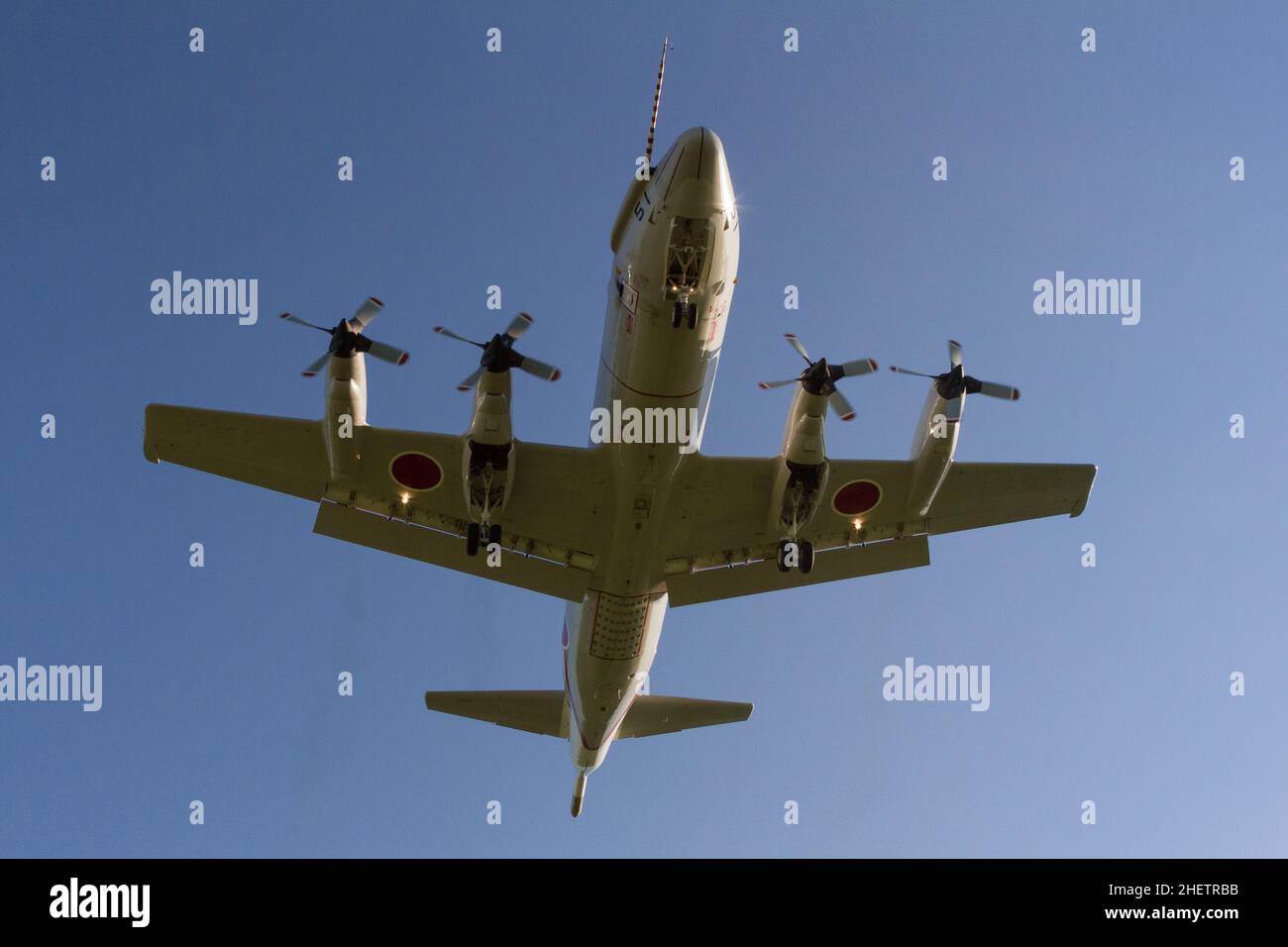 Kanagawa, Japon.20th septembre 2021.Le dessous d'un avion de reconnaissance maritime Lockheed UP-3C Orion alors qu'il atterrit à l'installation navale d'Atsugi, à Kanagawa, au Japon.(Image de crédit : © Damon Coulter/SOPA Images via ZUMA Press Wire) Banque D'Images