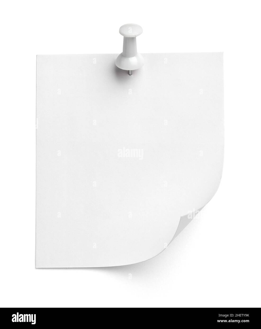 notez le message « punaise » sur papier rouge blanc noir Banque D'Images