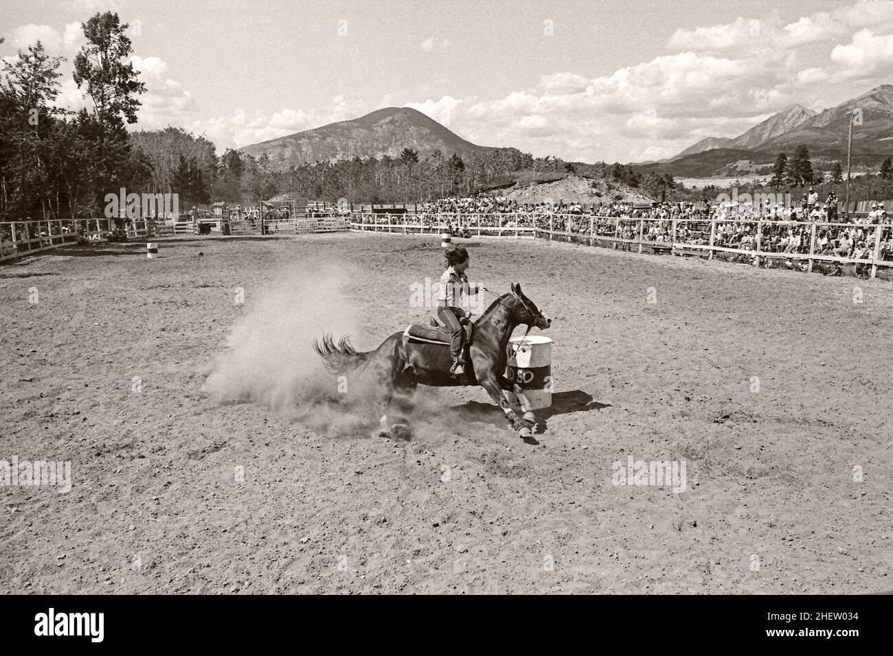 Course de tonneaux au rodéo de Crowsnest Pass, Alberta Canada.Vers 1981 Banque D'Images