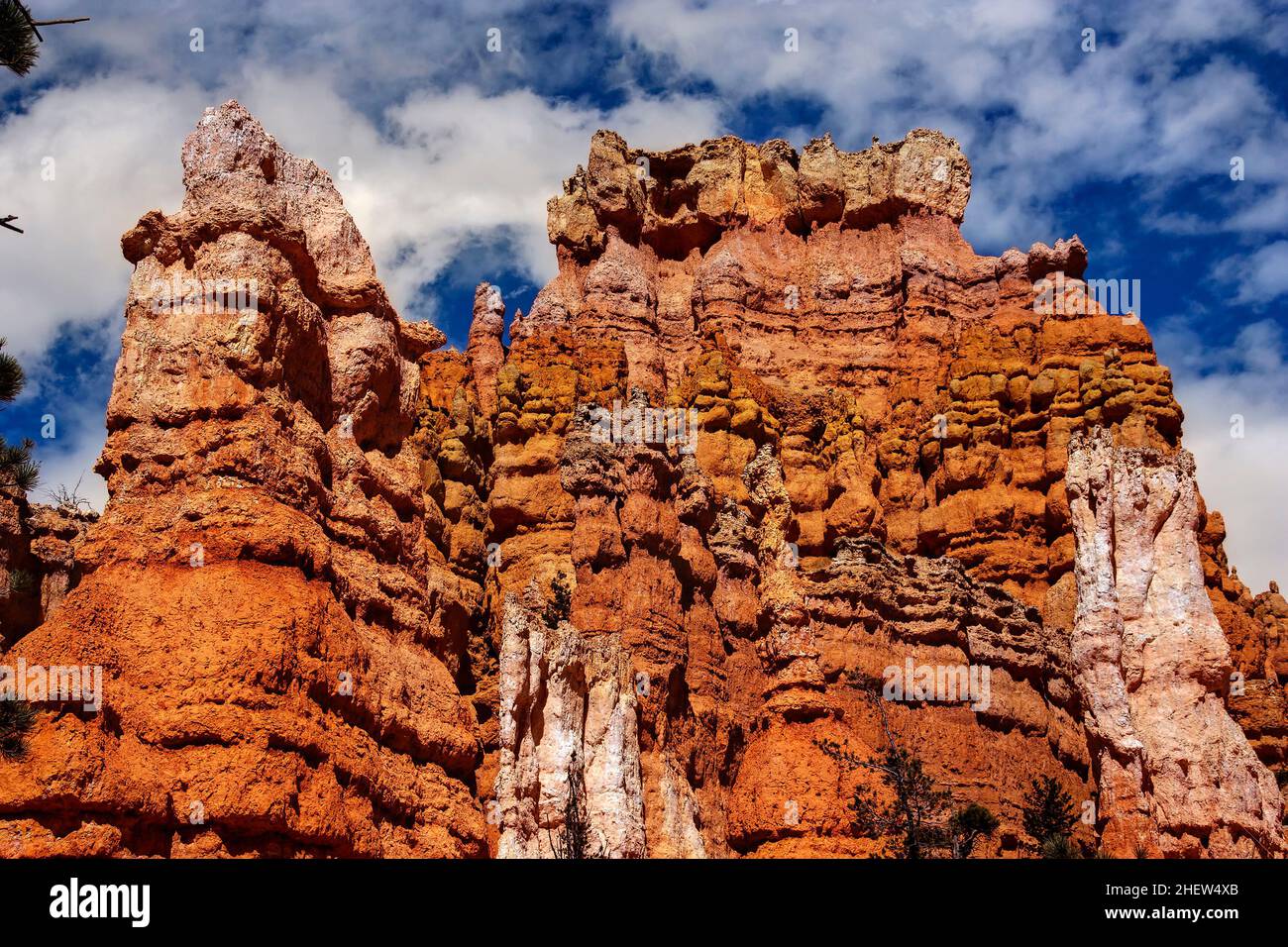 Bryce National Park, Utah, USA Banque D'Images