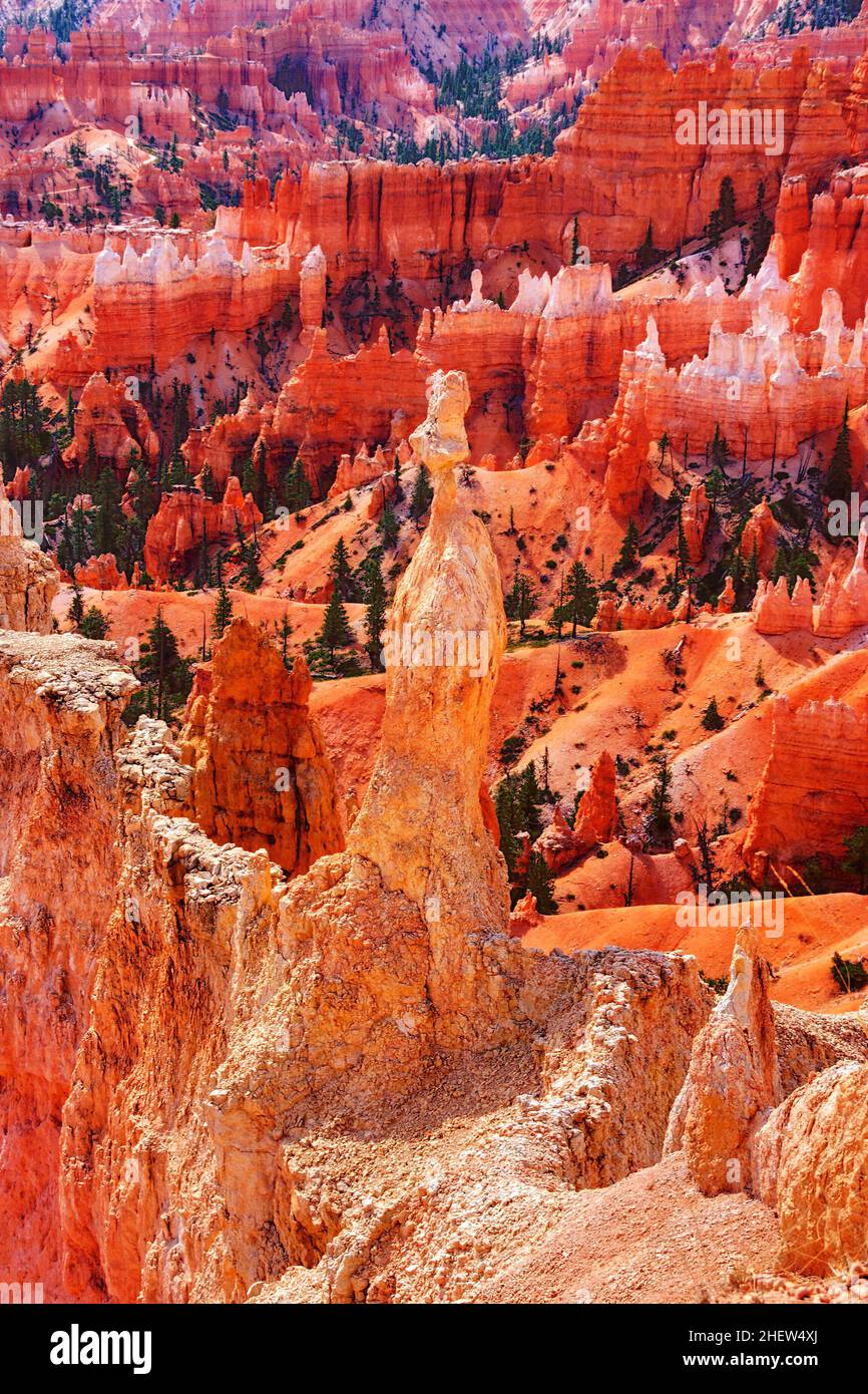 Bryce National Park, Utah, USA Banque D'Images