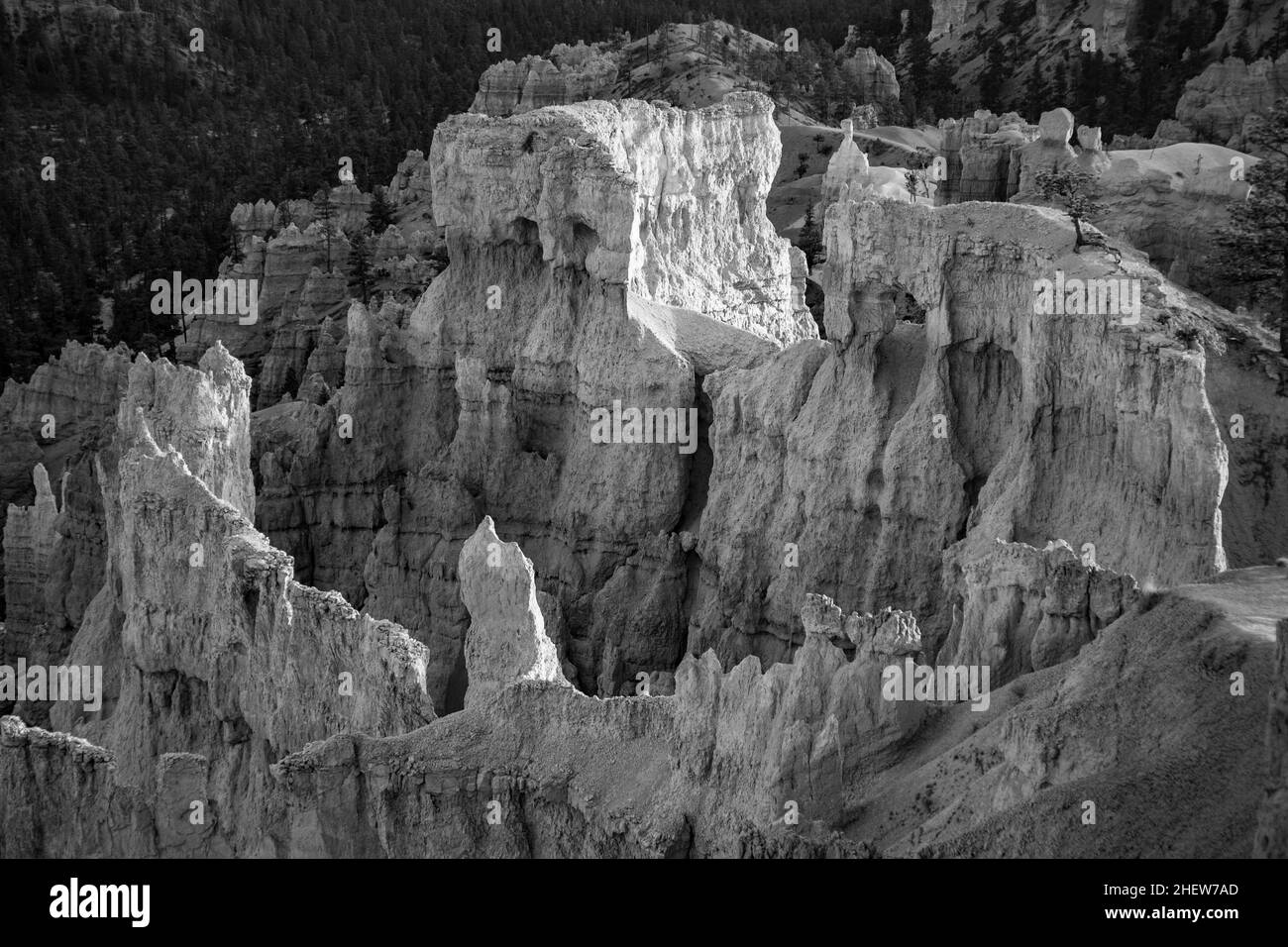 Magnifique paysage à Bryce Canyon avec magnifique formation de pierre comme l'amphithéâtre, les temples, les figures en petit matin Banque D'Images
