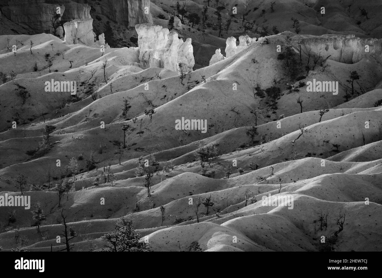 Beau paysage à Bryce Canyon avec magnifique pierre formation comme amphithéâtre, des temples, des chiffres dans la lumière du matin Banque D'Images