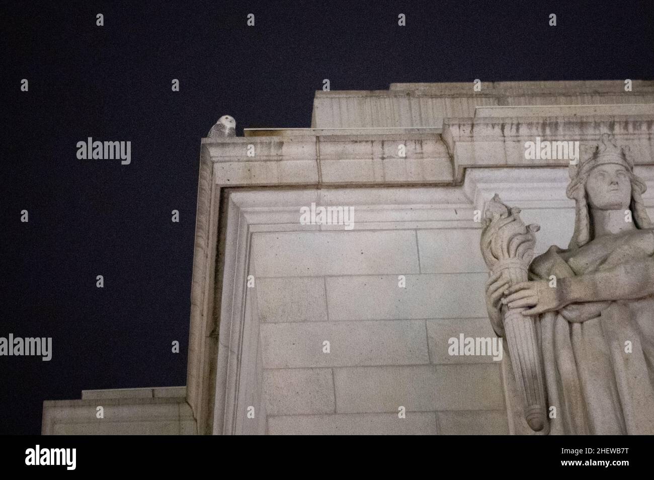 Washington, États-Unis.12th janvier 2022.Un hibou enneigé perche sur la façade de Union Station, à Washington, DC, le mercredi 12 janvier,2022. (Graeme Sloan/Sipa USA) Credit: SIPA USA/Alay Live News Banque D'Images