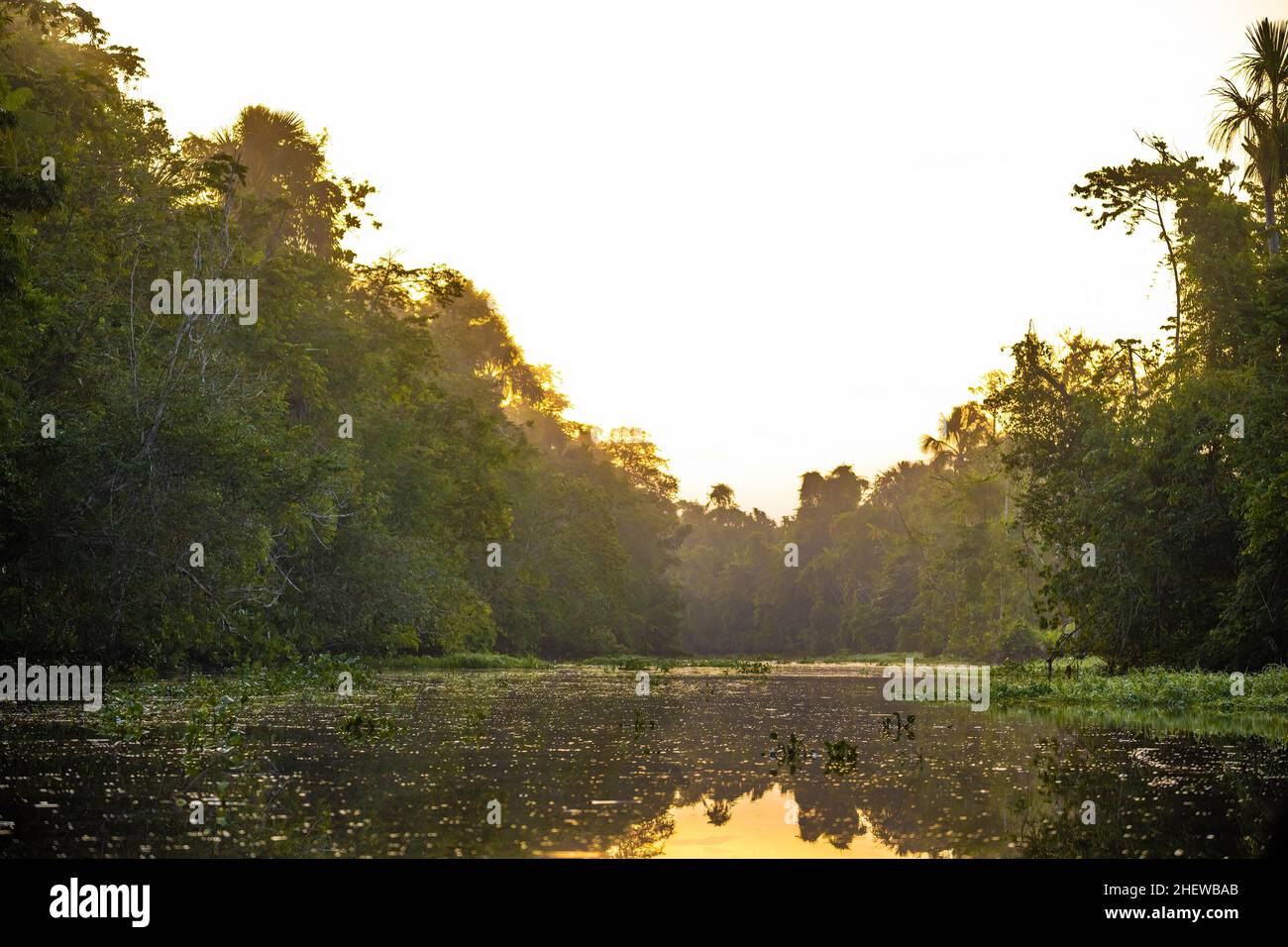 Coucher de soleil pittoresque sur la rivière Orinoco au Venezuela dans la jungle Banque D'Images
