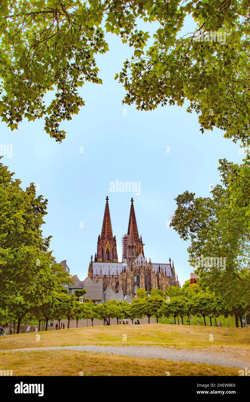 dôme de cologne vu du parc sous le ciel bleu Banque D'Images dôme de cologne vu du parc sous le ciel bleu Banque D'Images