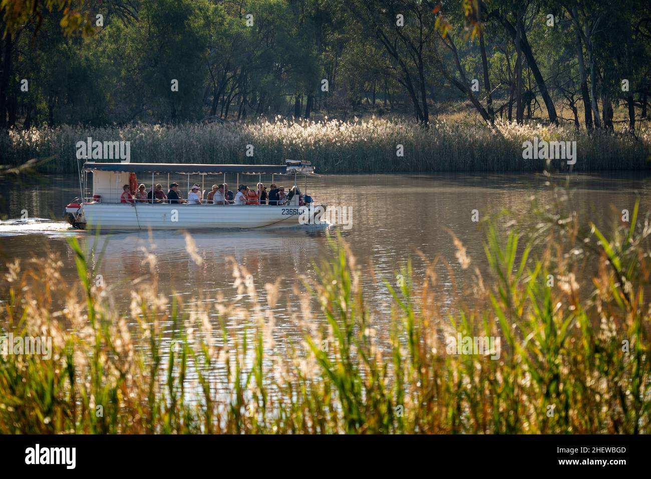 Excursion en bateau avec passagers lors d'une croisière panoramique sur la rivière Balonne à St George, Queensland, Australie Banque D'Images