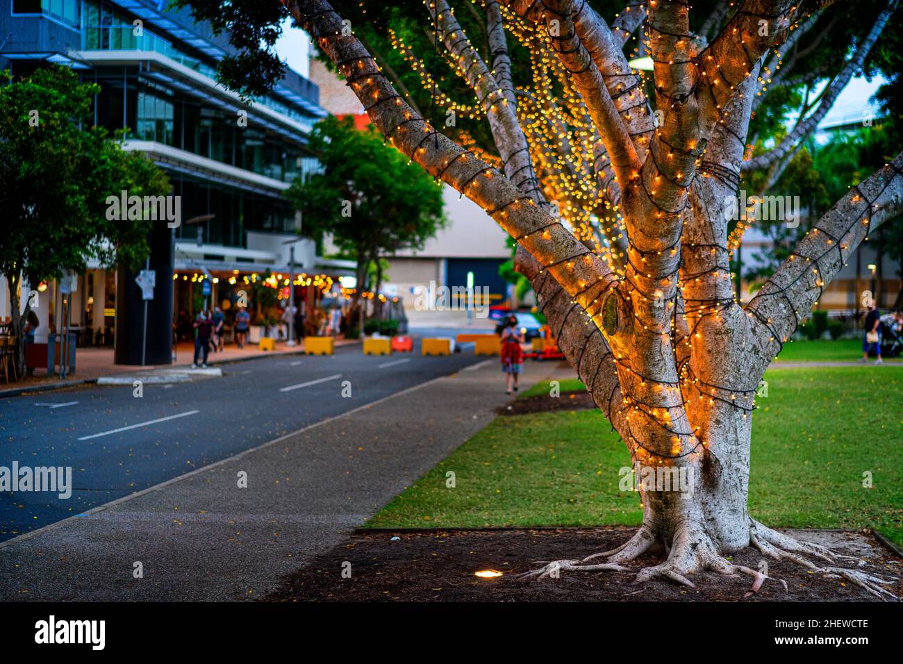 Lumières de fées sur les marchés collectifs, Stanley Street, Southbank Parklands, Brisbane, Queensland,Australie Banque D'Images