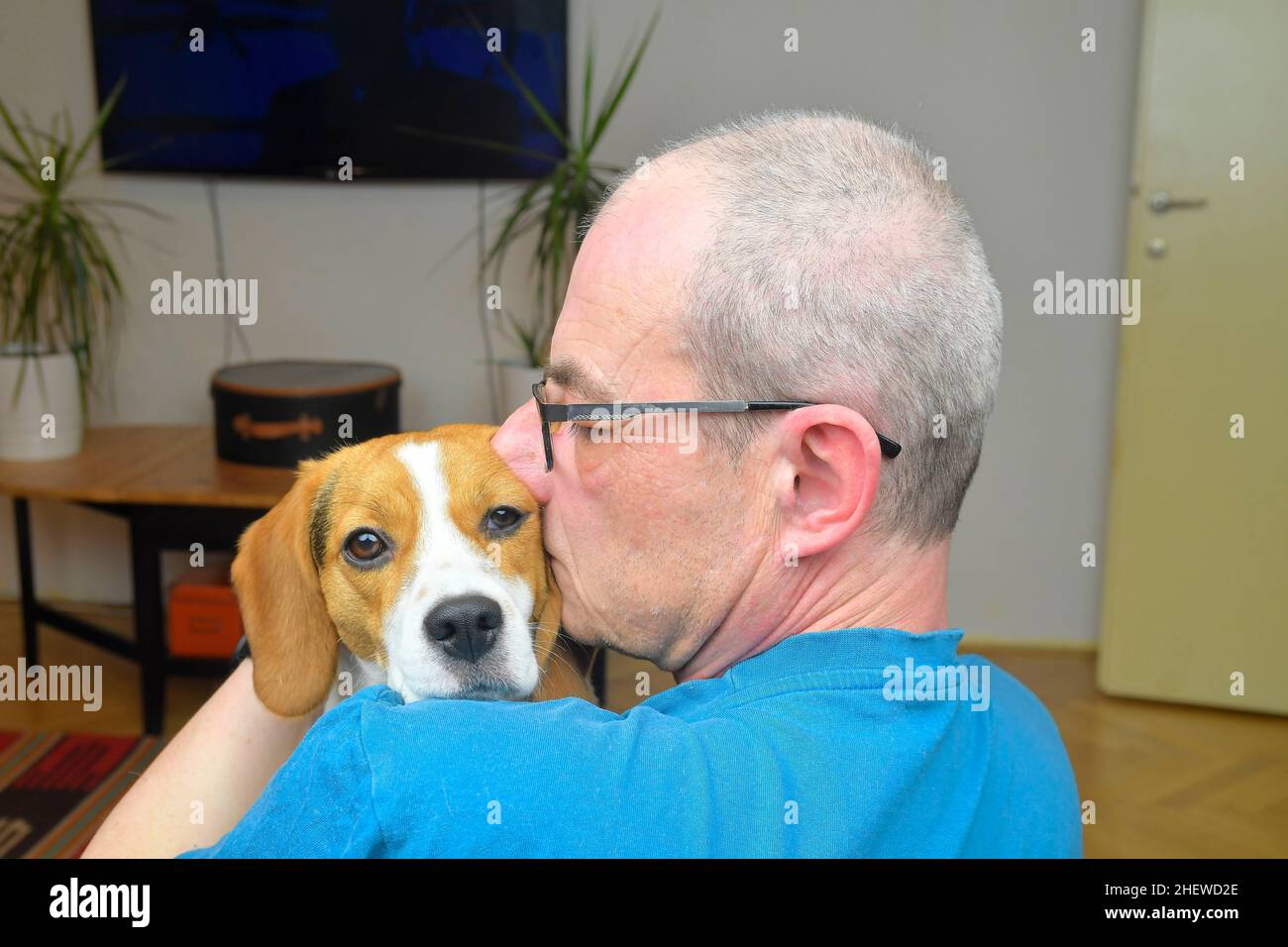 Portrait d'un homme tenant un chien de beagle mignon.POV du propriétaire de chien heureux tenant le chien de beagle de chiot dans ses bras Banque D'Images