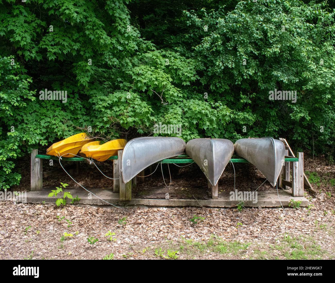 Kayaks reposant sur un rack en bois dans la forêt Banque D'Images
