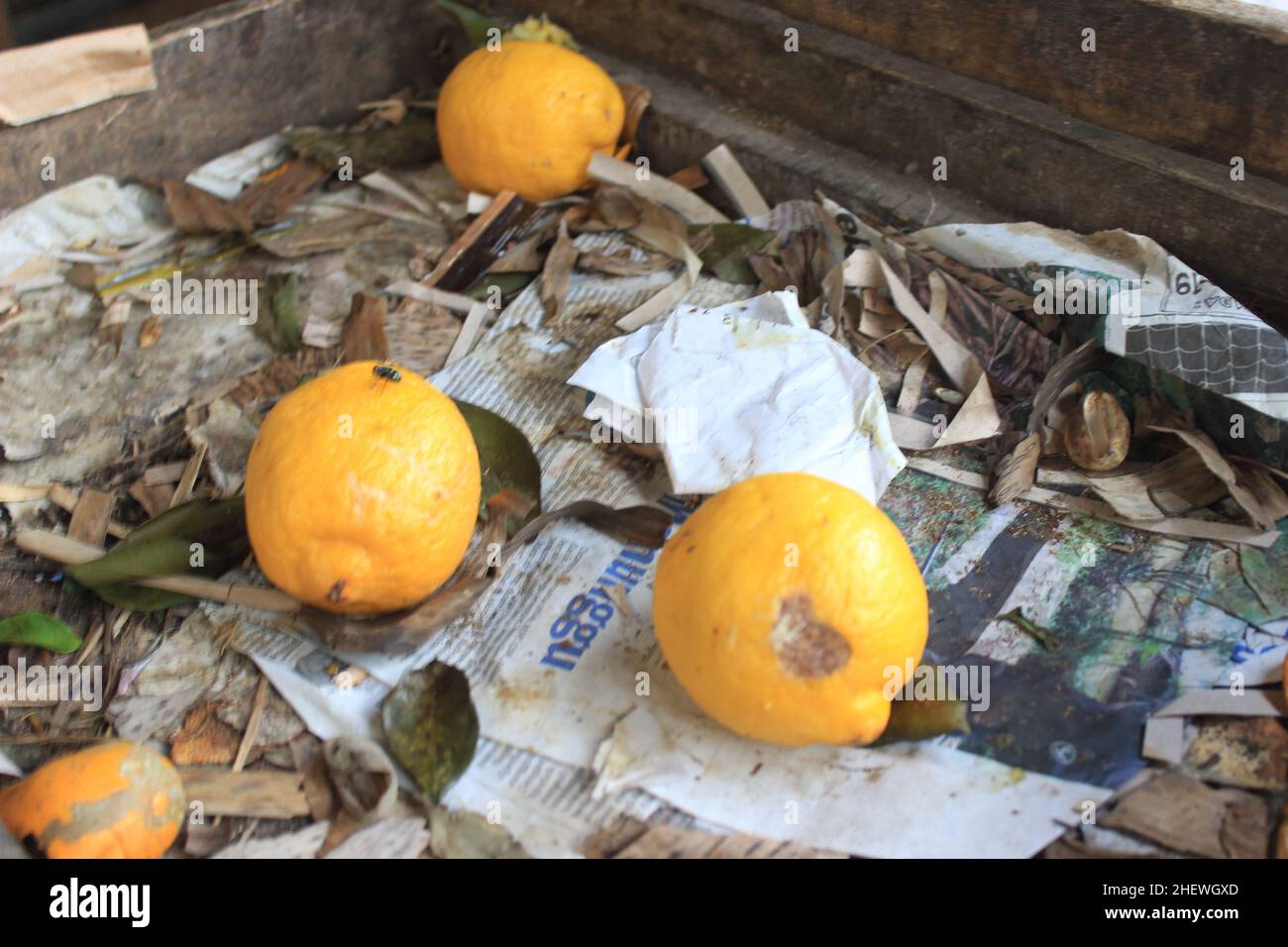 Certains Lemons ont abandonné les activités traditionnelles du marché en Indonésie Banque D'Images