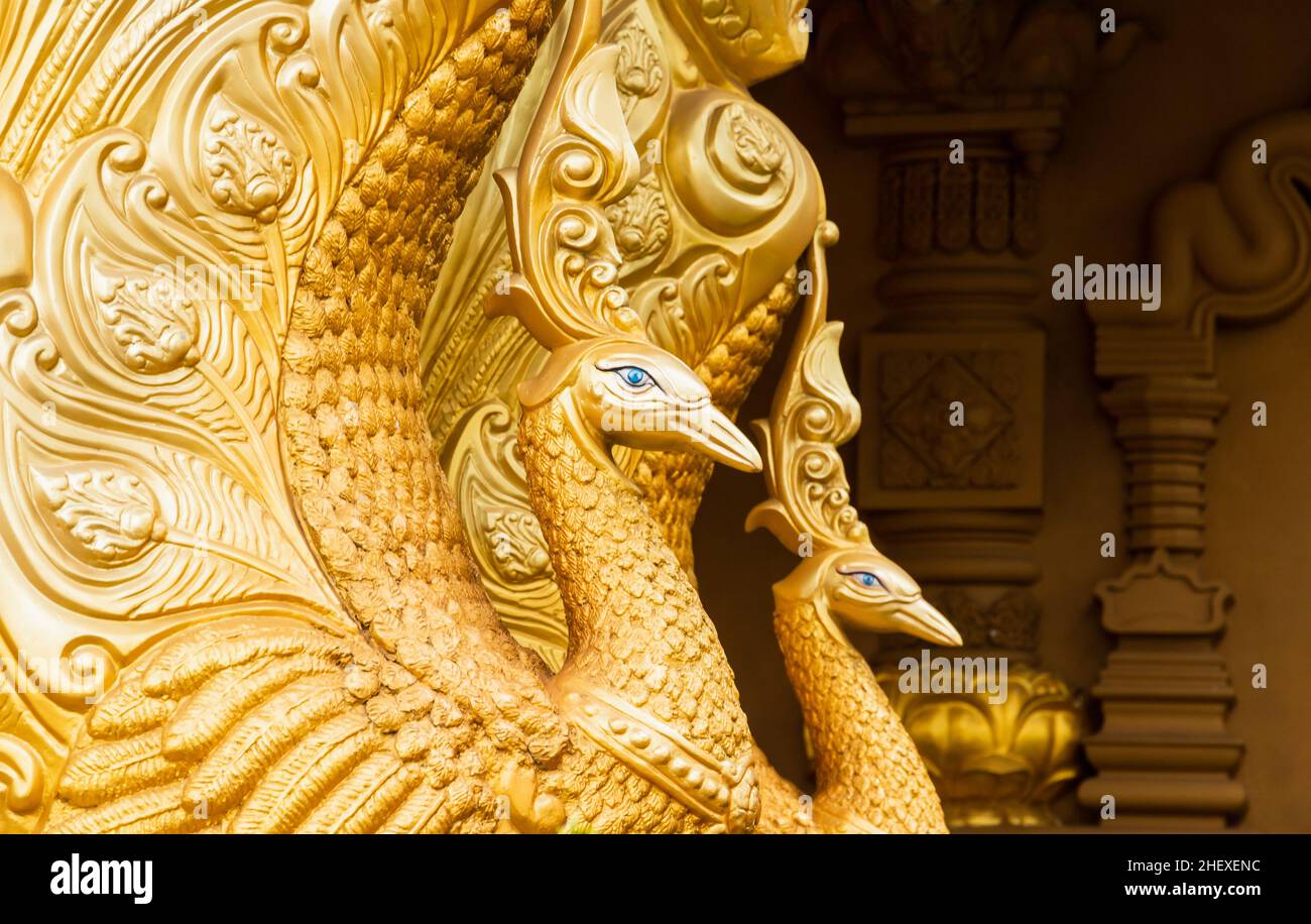 Statues de paons d'or, décoration du monastère Mahamevnawa Amawatura.Monastère bouddhiste situé dans le quartier de Malabe à Colombo, Sri Lanka Banque D'Images