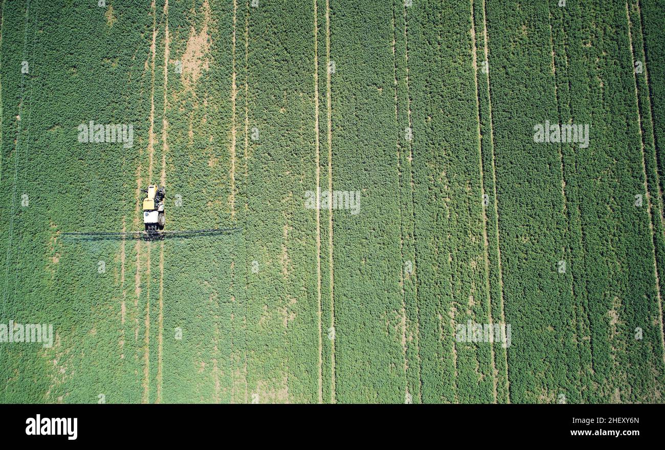 Thème de l'engrais pulvérisé.Champ de culture dans la ferme au-dessus de la vue de dessus de drone Banque D'Images Thème de l'engrais pulvérisé.Champ de culture dans la ferme au-dessus de la vue de dessus de drone Banque D'Images