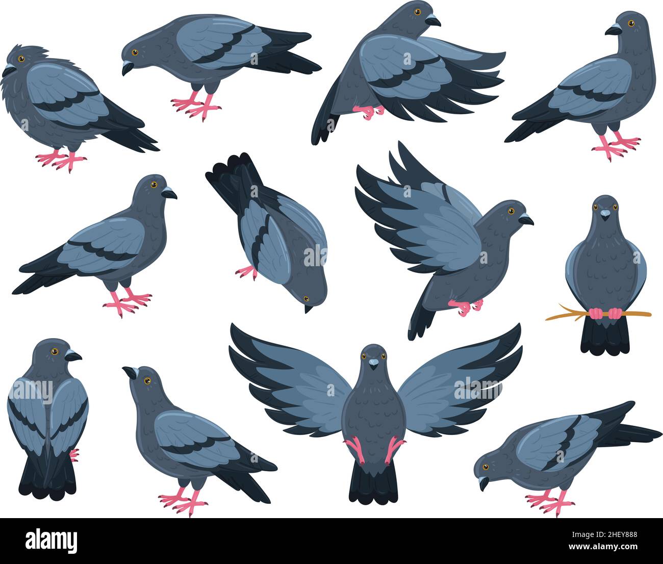 Dessin animé rock colombe oiseau, ville pigeon oiseaux.Jeu d'illustrations vectorielles pour oiseaux de pigeon gris volant, marchant et assis.Personnages d'oiseau pigeon Illustration de Vecteur