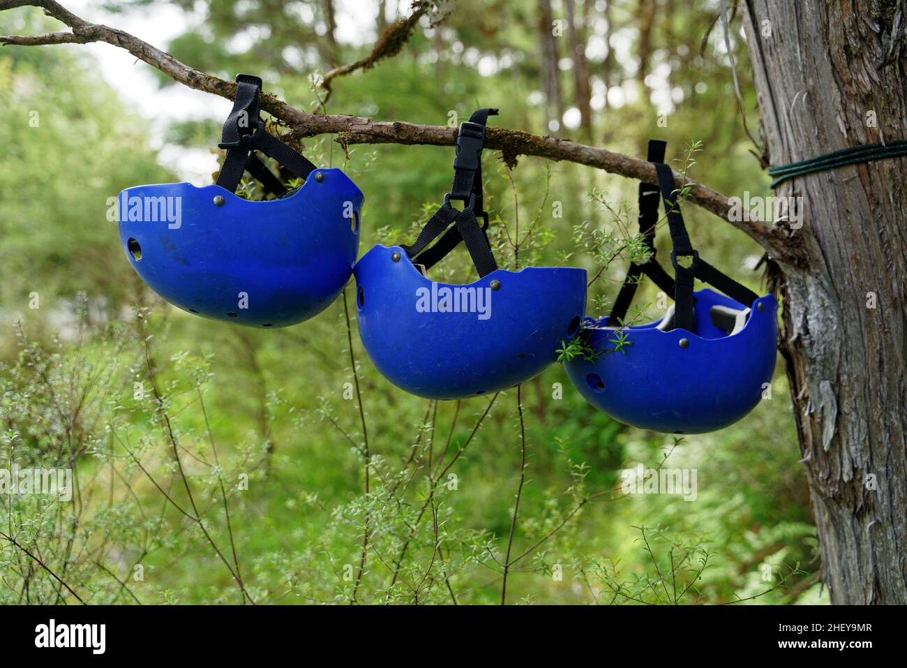 Trois casques bleus de rafting traînaient pour sécher lors d'un voyage de rafting, île du sud, Nouvelle-Zélande. Banque D'Images