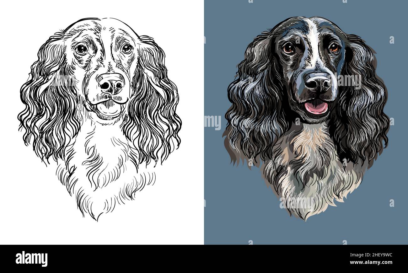 Chien à dessin vectoriel, noir et blanc et couleur Illustration de Vecteur