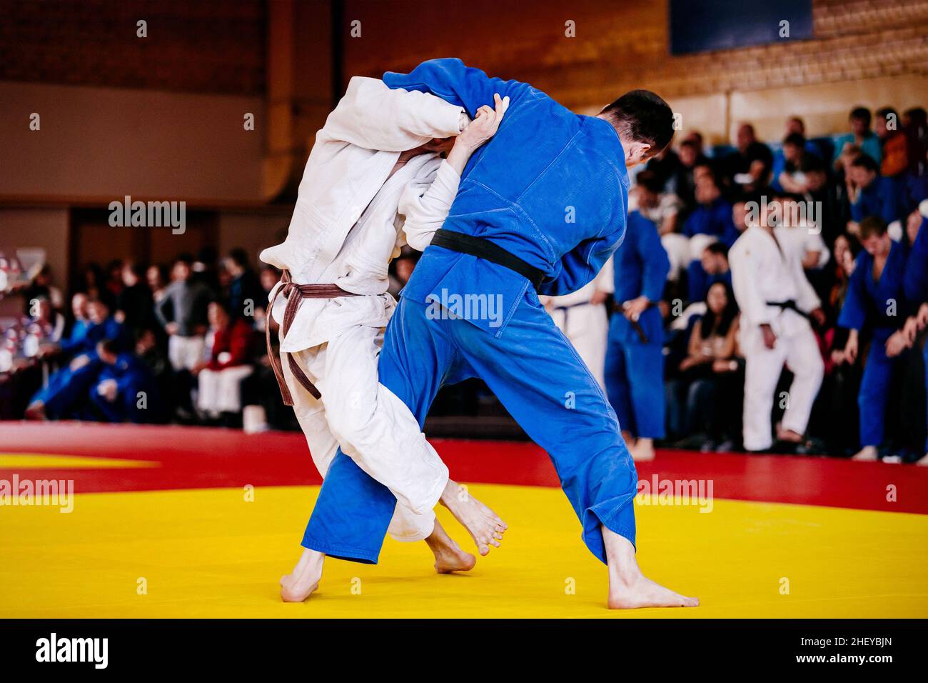 les combattants du judo sur le tatami se battent dans la compétition du judo Banque D'Images