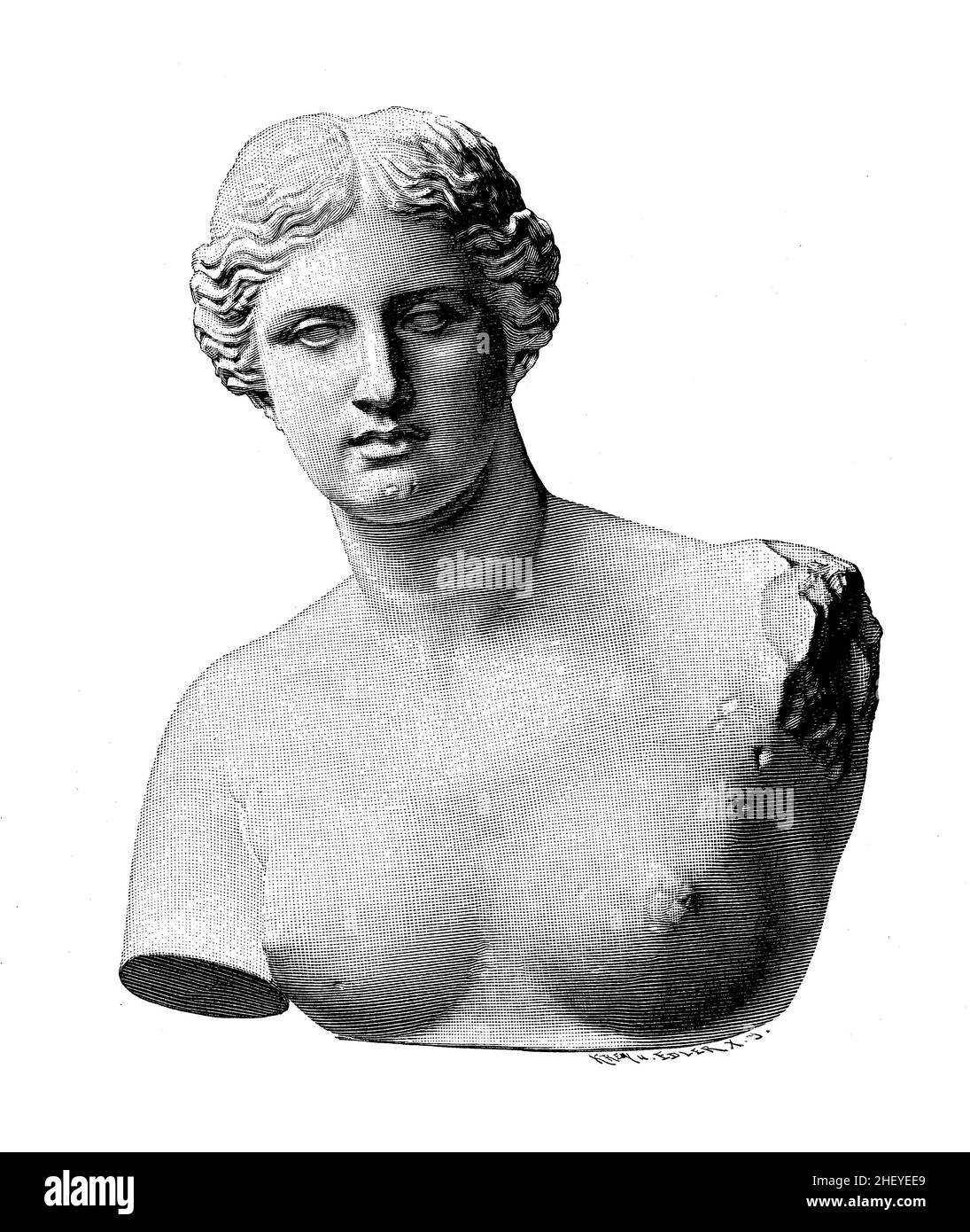 Buste et tête en marbre de la Vénus de Milo ancienne sculpture grecque de la période hellénistique de la déesse grecque, Musée du Louvre à Paris Banque D'Images