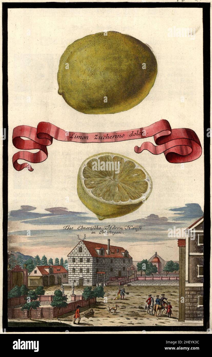 Limon Zucherino dolce und das ebnerische Herrnhaus in Erlastegen, Gartengestaltung, Nürnbergische Hesperides von Johann Christoph Volkamer, 1710 / jardin, Illustration du jardin Nrnbergische Hesperides, 1710, Historisch, historique, numérique reproduction améliorée d'un original du 18th siècle / restauration numérique Reprovorin aus 18.Jahrhundert, genaues Originaldatum nicht bekannt Banque D'Images