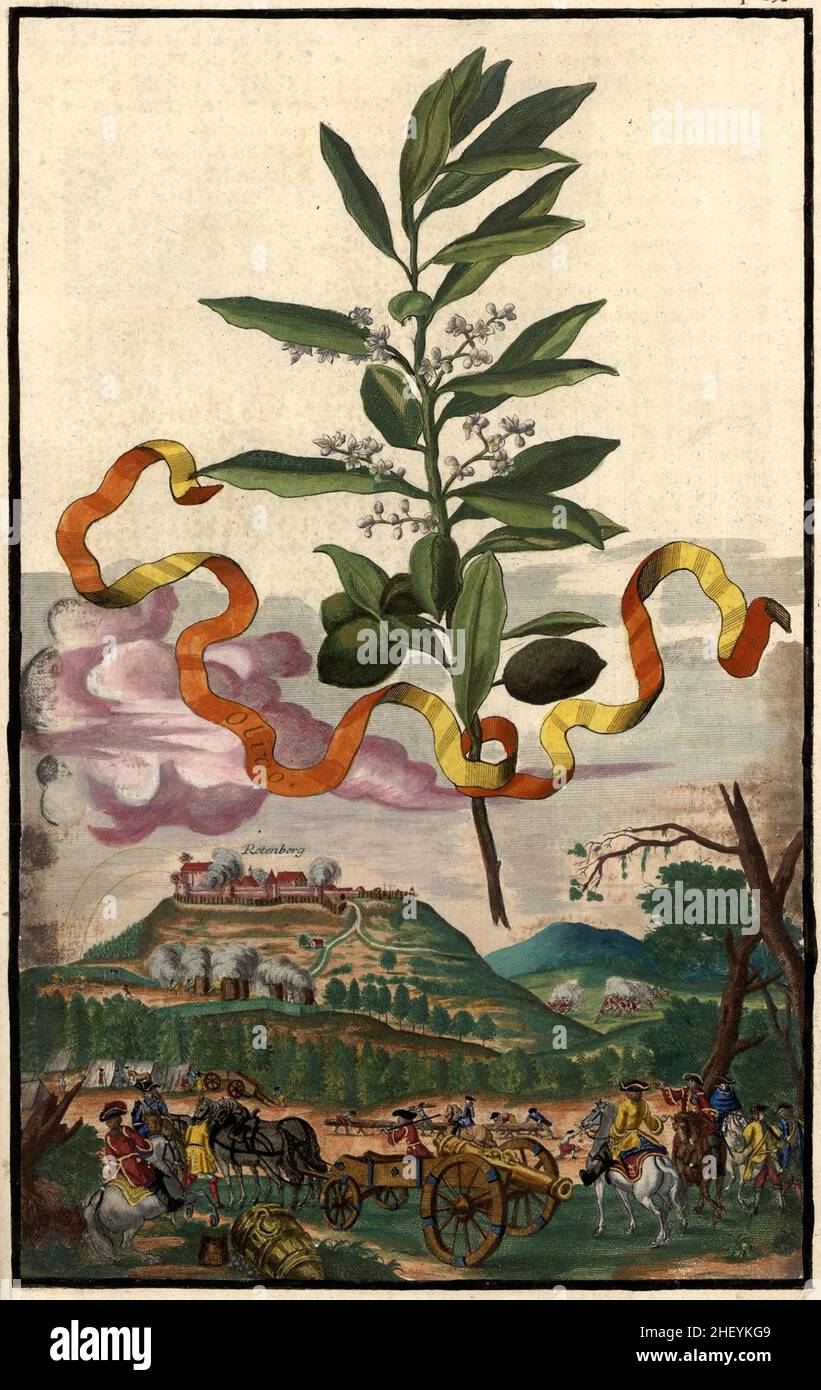 Olivo, Olivenbaum und Blick auf Rotenberg, Gartengestaltung, Nürnbergische Hesperides von Johann Christoph Volkamer, 1710 / Garden, Illustration du jardin de Nürnbergische Hesperides, 1710, Origisch, historique, numérique amélioration de la reproduction d'un original du 18th siècle / Digital restaurierte Reprodukeiner Hof 18.Jahrhundert, genaues Originaldatum nicht bekannt Banque D'Images