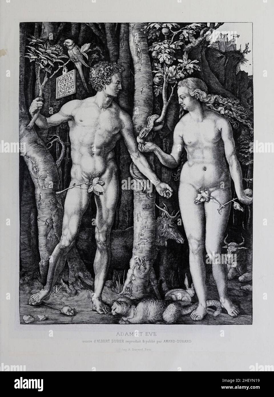 Adam et Eve dans le catalogue des gravures et gravures du jardin d'Eden.France 1881 Banque D'Images