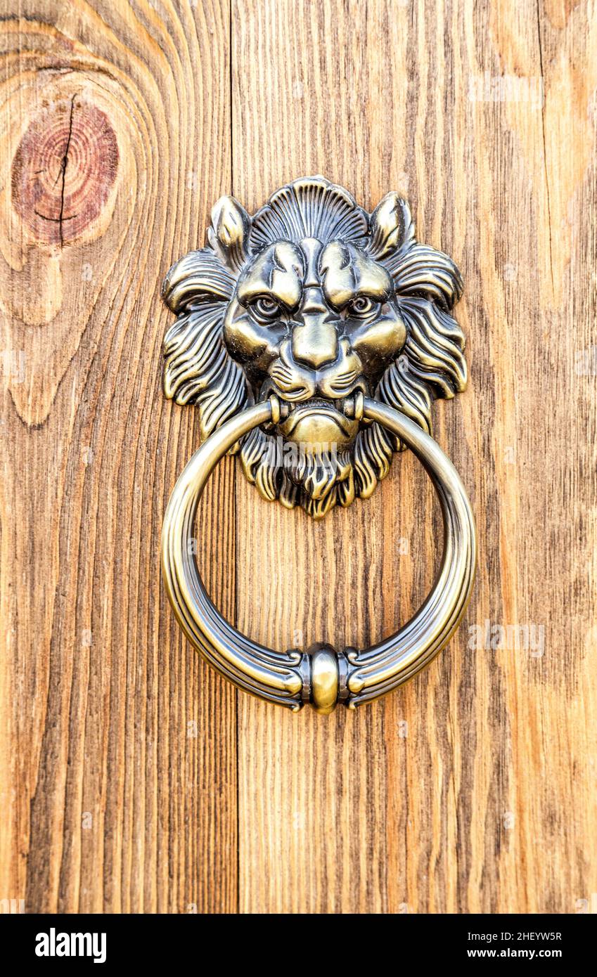 Bouton de porte en bronze à tête de lion.Porte avec défonceuse en laiton. Banque D'Images