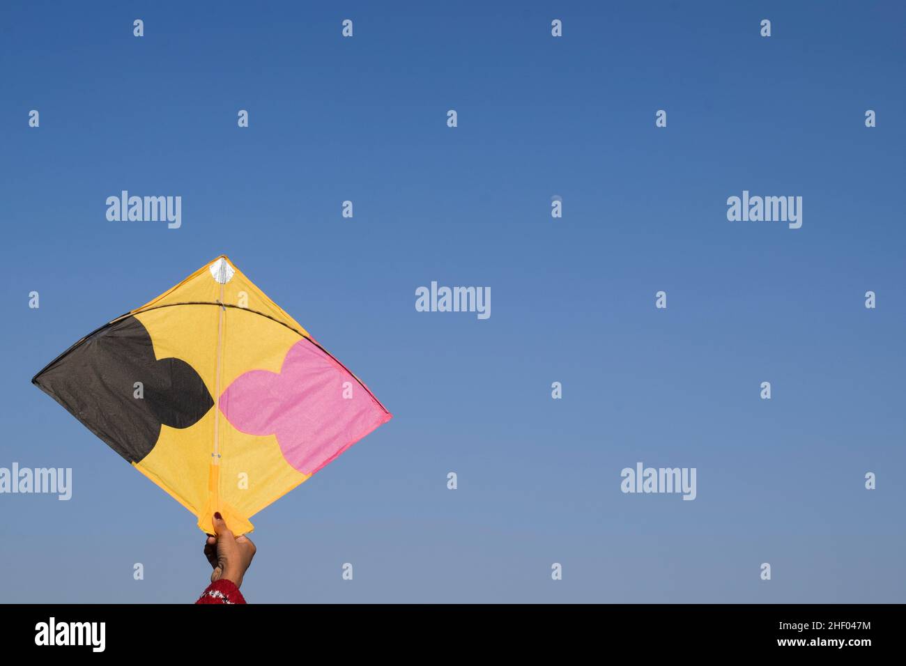 Femelle volant cerf-volant avec fond de ciel à l'occasion du festival indien de cerf-volant de Makar sankranti ou Uttaryan, Pongal, Lohri célébration pendant la journée Banque D'Images