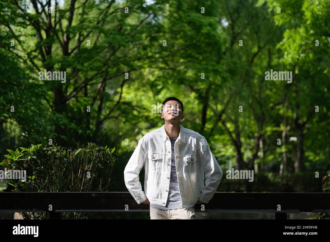 Jeune homme asiatique souriant dans un parc naturel verdoyant sous le soleil.Lever la tête.Arrière-plan Green Trees. Banque D'Images