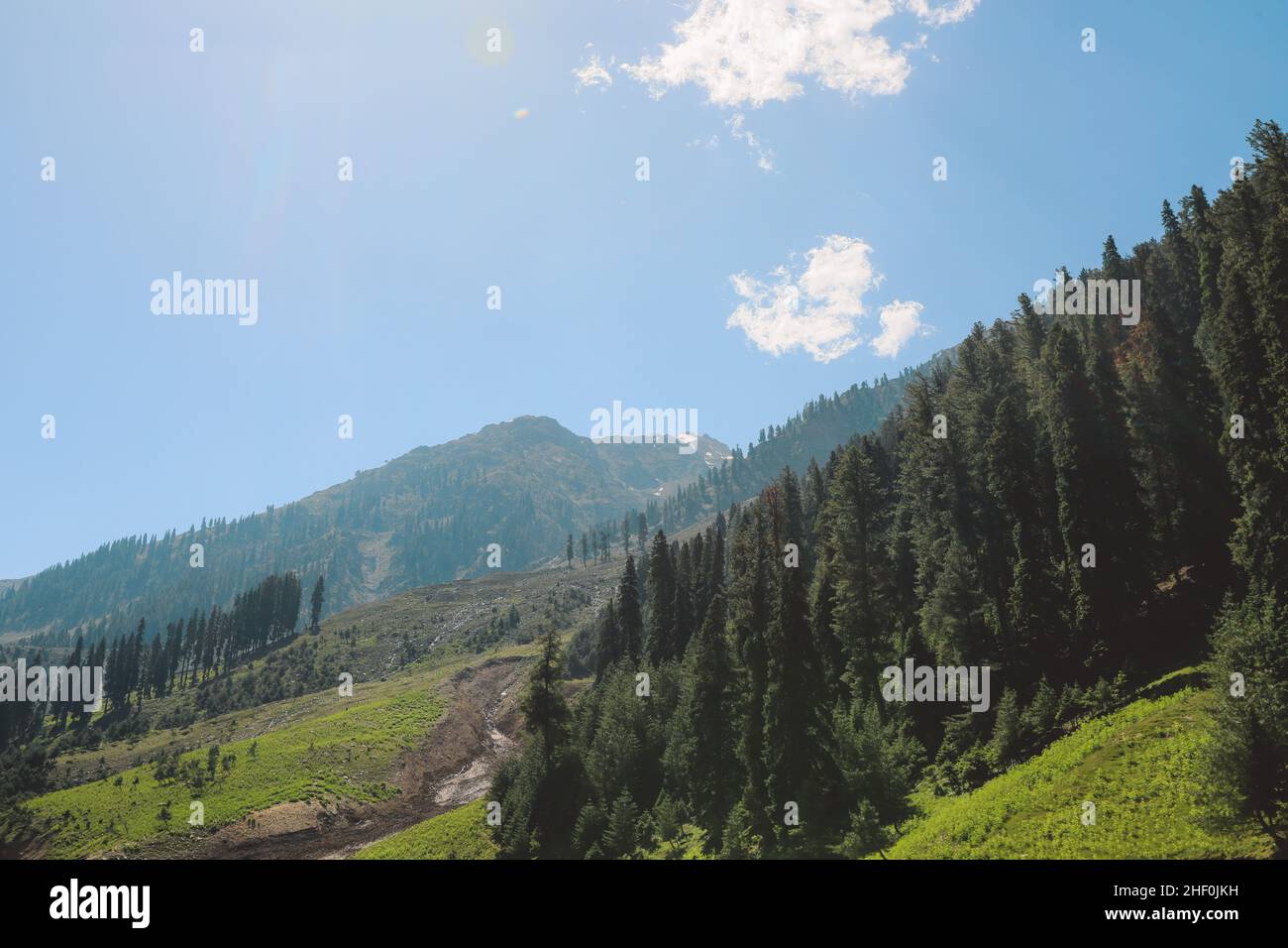 Fast River et Green Mountain Forest sous le ciel bleu dans les Highlands de Gilgit, au Pakistan Banque D'Images