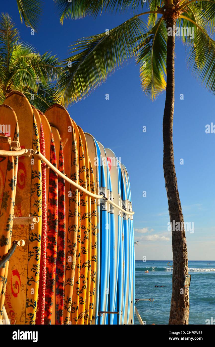 Des planches de surf vous attendent Banque D'Images