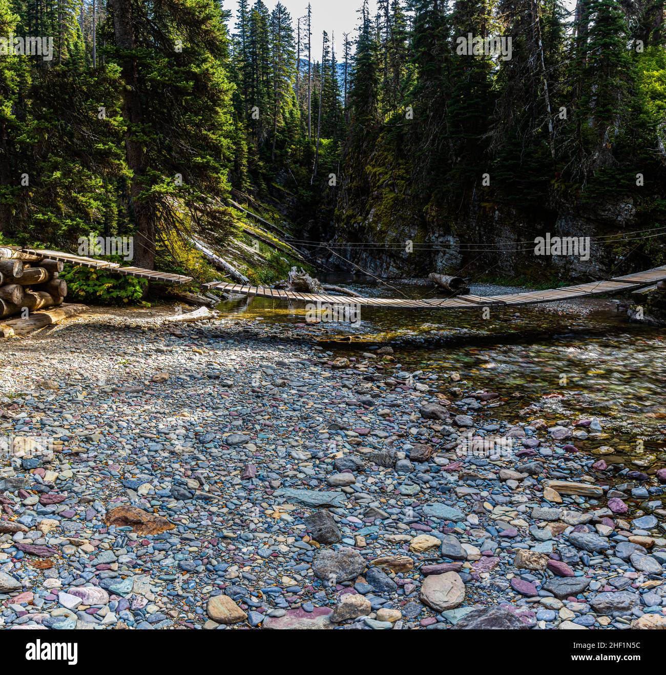 Pont à pied au-dessus de Grinnell Creek sur le sentier du lac Grinnell, parc national Glacier, Montana, États-Unis Banque D'Images