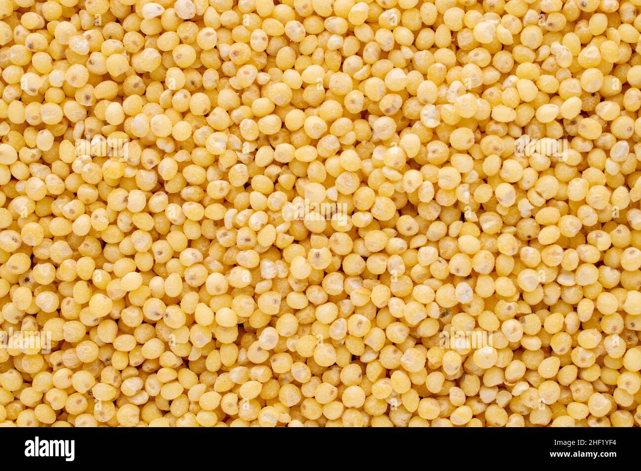 Gruaux de millet biologique non cuites, macro, vue de dessus. Banque D'Images
