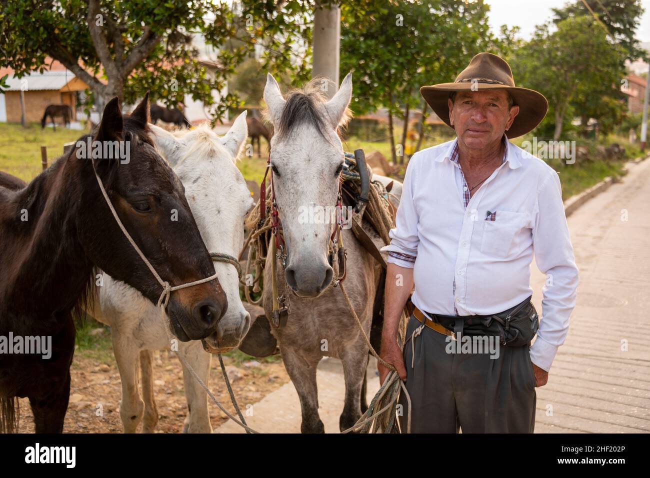 Horseman avec trois chevaux, Jinete con tres caballos, Villa de Leyva, Boyacá, Colombie Banque D'Images