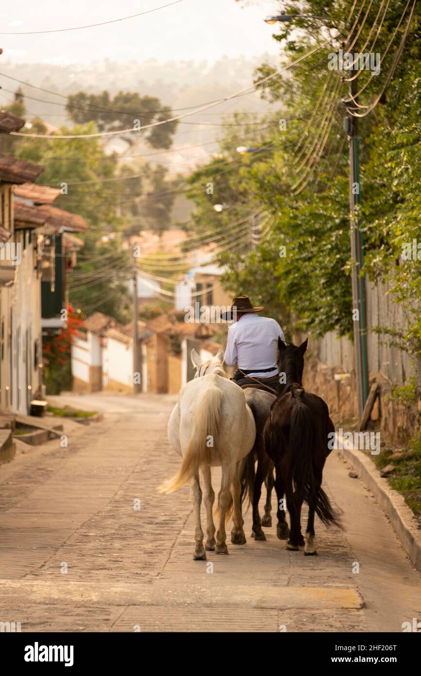 Horseman avec trois chevaux, Jinete con tres caballos, Villa de Leyva, Boyacá, Colombie Banque D'Images