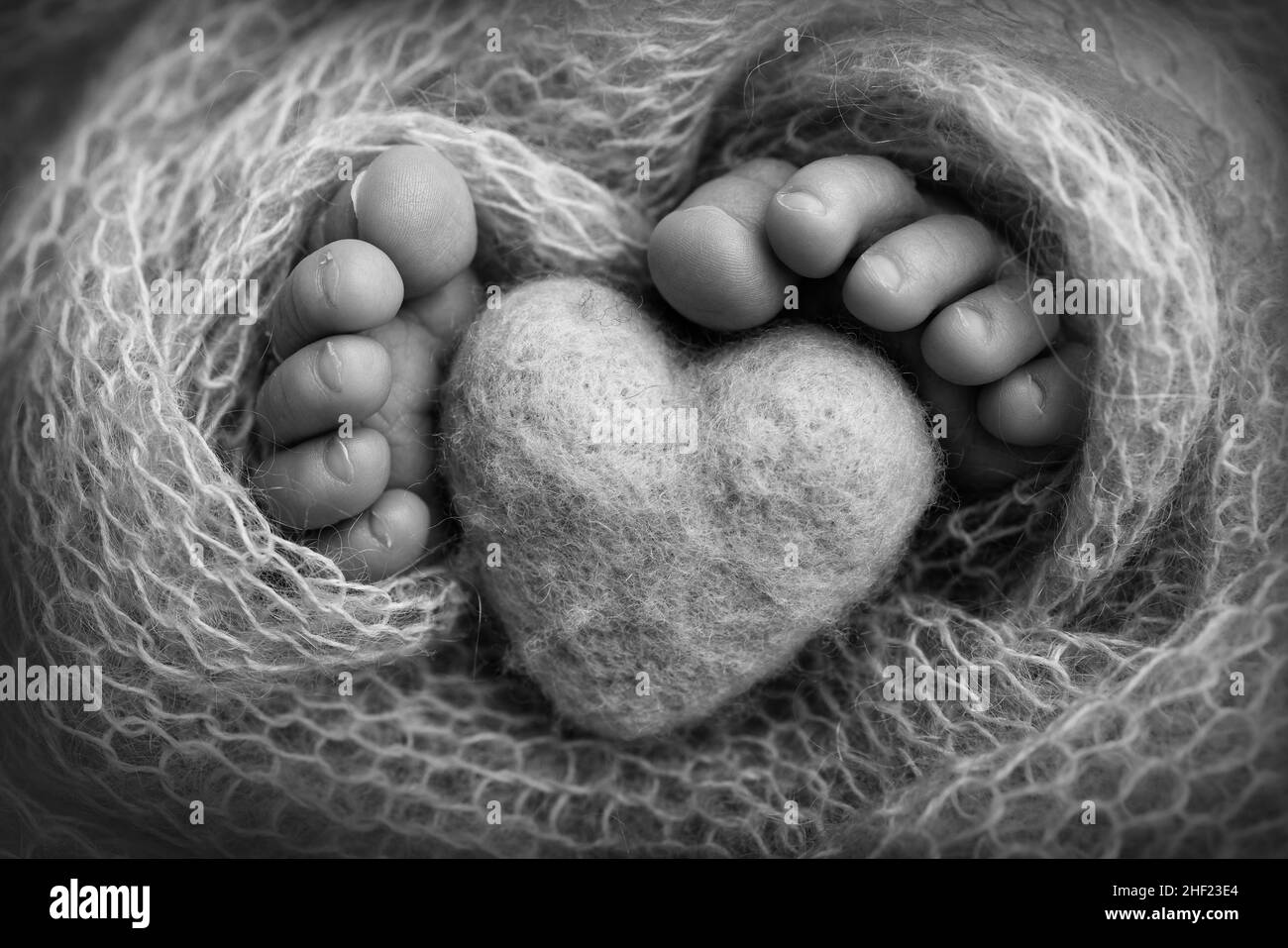 Le pied minuscule d'un nouveau-né.Pieds doux d'un nouveau-né dans une couverture de laine. Banque D'Images