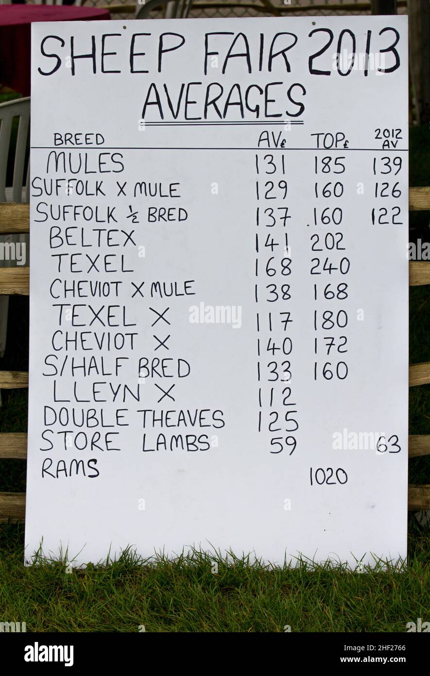 Tableau d'affichage affichant différents prix de vente de moutons en 2013.Au fameux Newbury Show ou officiellement au Royal Berkshire Show. Banque D'Images