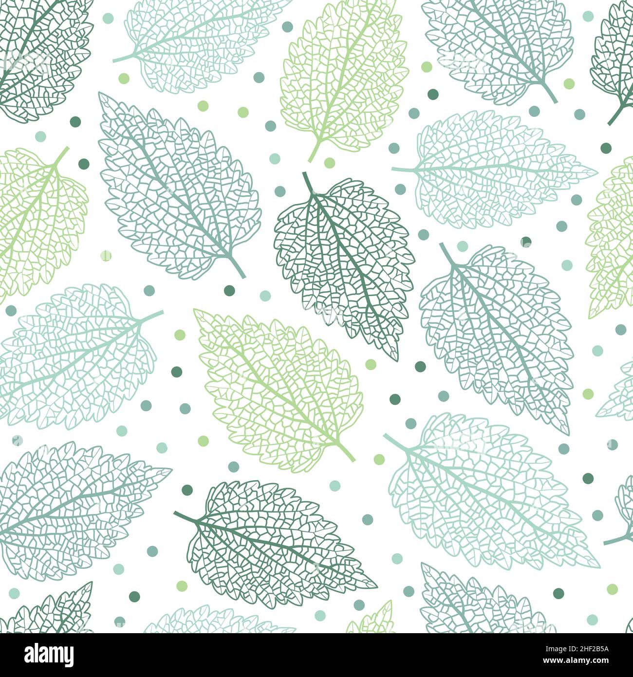 Élégant motif fleuri vectoriel tendance sans couture avec imprimé de feuilles d'ortie exotiques. Arrière-plan tendance à texture feuillages répétitive pour le textile Illustration de Vecteur