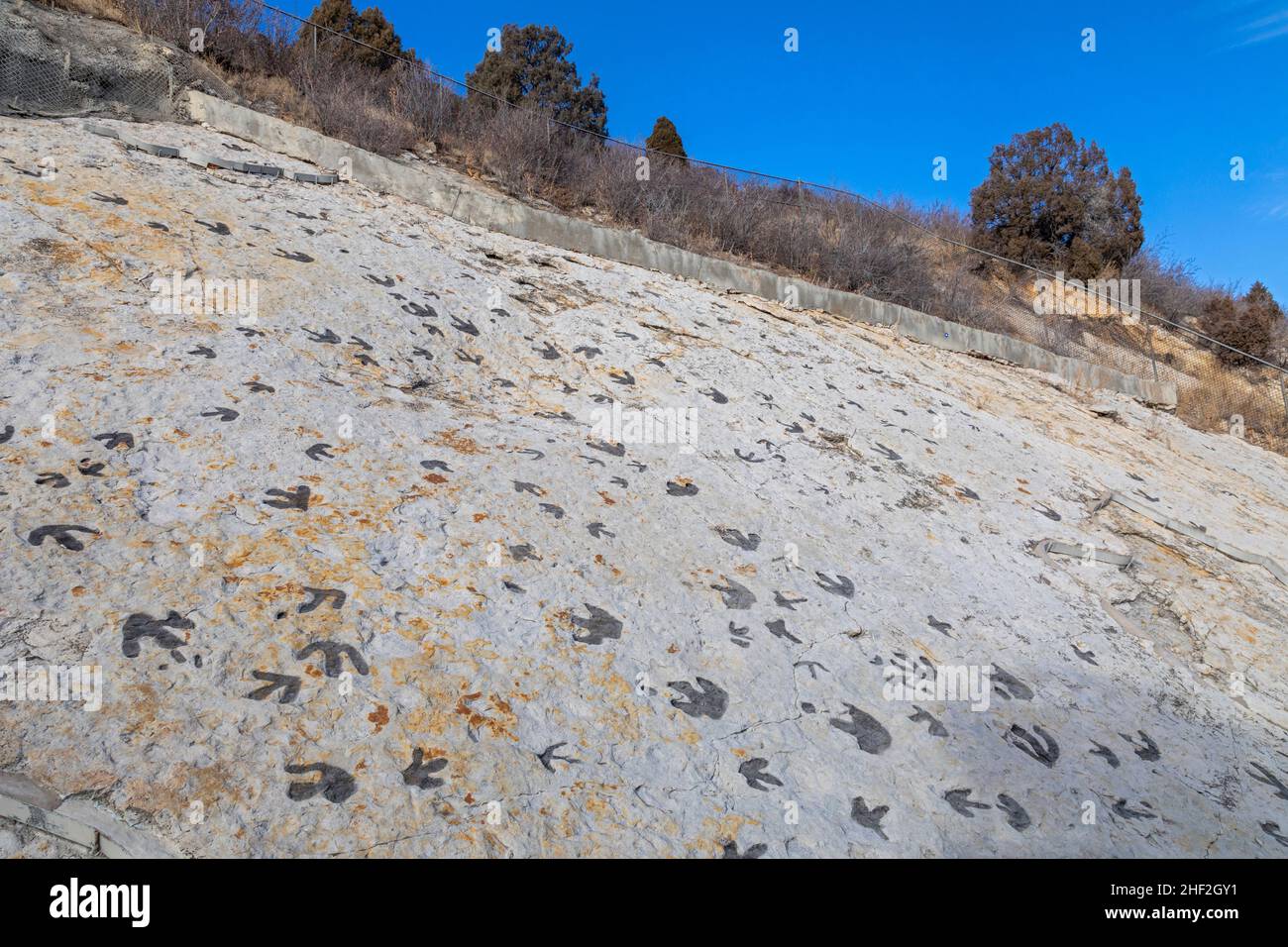 Morrison, Colorado - Dinosaur Ridge.Les visiteurs peuvent voir des centaines de empreintes de dinosaures le long de la crête, juste à l'ouest de Denver.Les pistes de bec de canard Banque D'Images