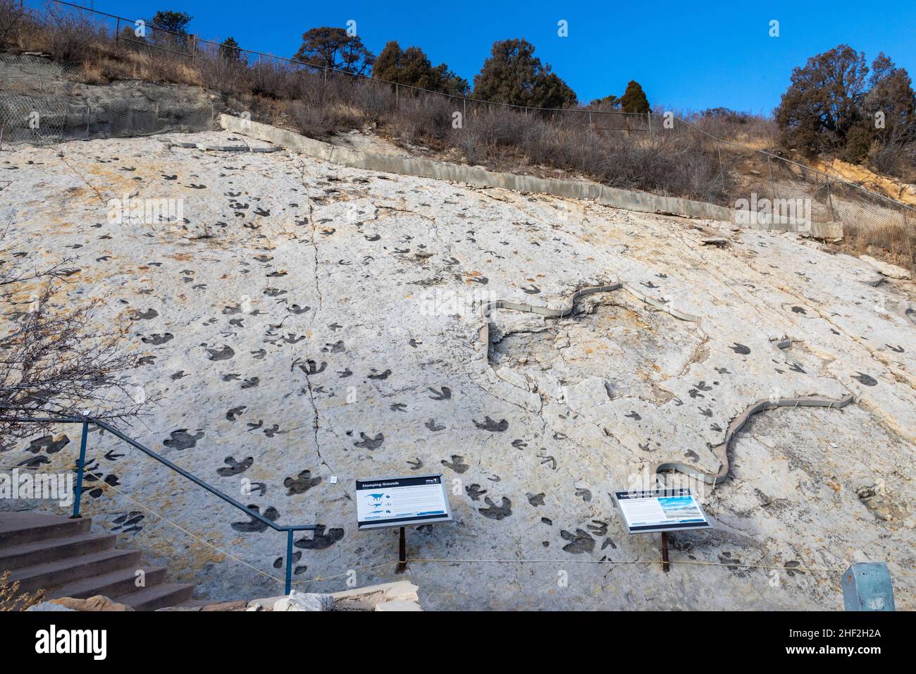 Morrison, Colorado - Dinosaur Ridge.Les visiteurs peuvent voir des centaines de empreintes de dinosaures le long de la crête, juste à l'ouest de Denver.Les pistes de bec de canard Banque D'Images