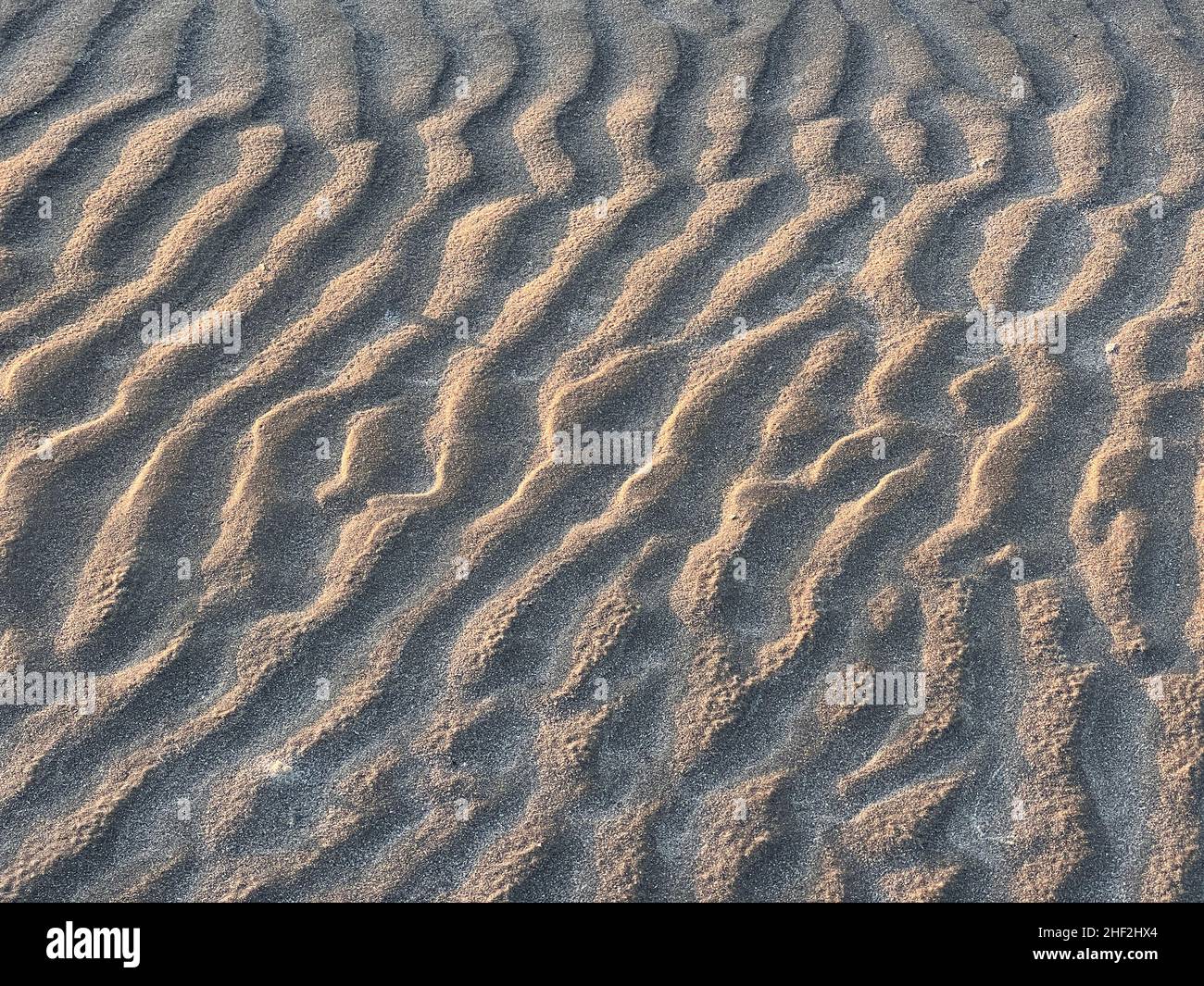 Le sable balayé par le vent forme un motif ondulé à la plage de bois flotté, sur l'île Jekyll, en Géorgie. Banque D'Images